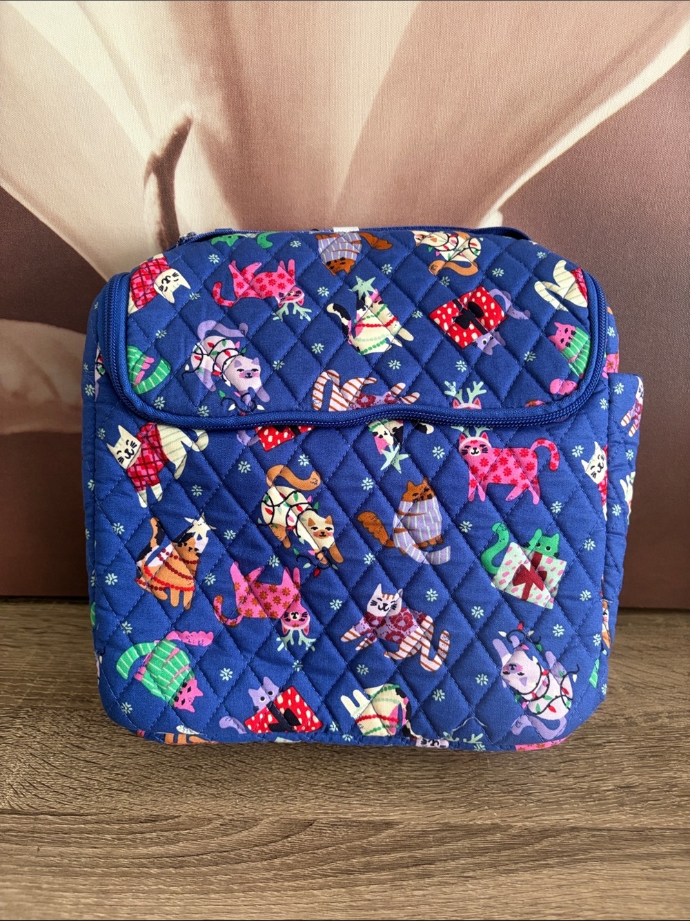 VB Lunch Crossbody Cats Meow 😻 NWT